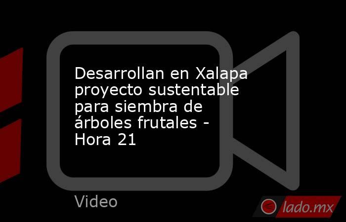 Desarrollan en Xalapa proyecto sustentable para siembra de árboles frutales - Hora 21. Noticias en tiempo real