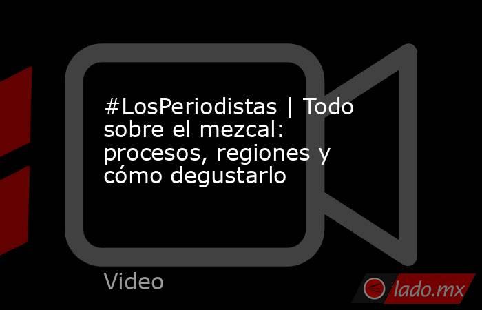 #LosPeriodistas | Todo sobre el mezcal: procesos, regiones y cómo degustarlo. Noticias en tiempo real