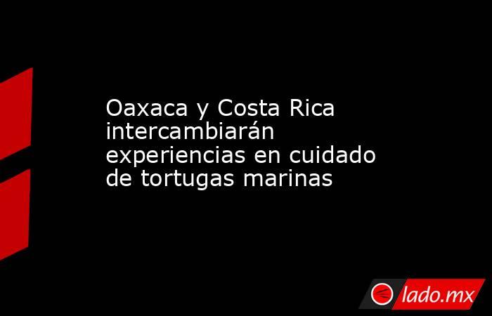 Oaxaca y Costa Rica intercambiarán experiencias en cuidado de tortugas marinas. Noticias en tiempo real