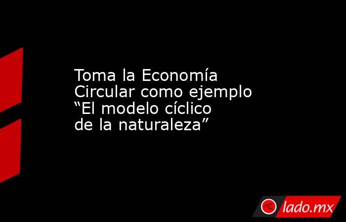 Toma la Economía Circular como ejemplo “El modelo cíclico de la naturaleza”. Noticias en tiempo real