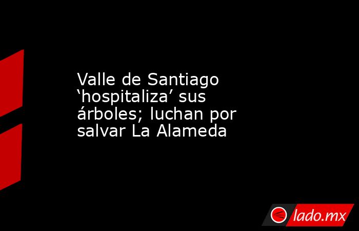 Valle de Santiago ‘hospitaliza’ sus árboles; luchan por salvar La Alameda. Noticias en tiempo real