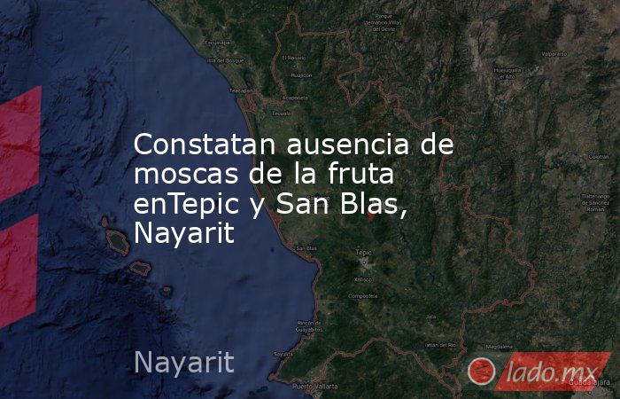 Constatan ausencia de moscas de la fruta enTepic y San Blas, Nayarit. Noticias en tiempo real