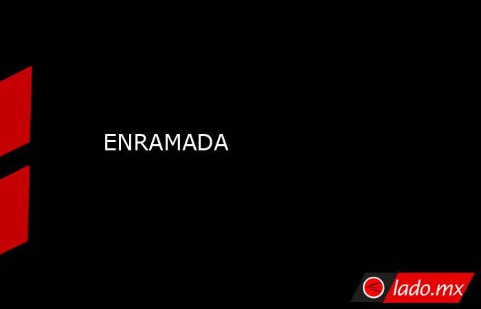 ENRAMADA. Noticias en tiempo real