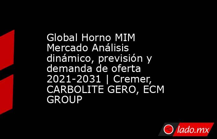 Global Horno MIM Mercado Análisis dinámico, previsión y demanda de oferta 2021-2031 | Cremer, CARBOLITE GERO, ECM GROUP. Noticias en tiempo real
