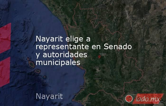 Nayarit elige a representante en Senado y autoridades municipales. Noticias en tiempo real