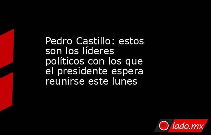 Pedro Castillo: estos son los líderes políticos con los que el presidente espera reunirse este lunes. Noticias en tiempo real
