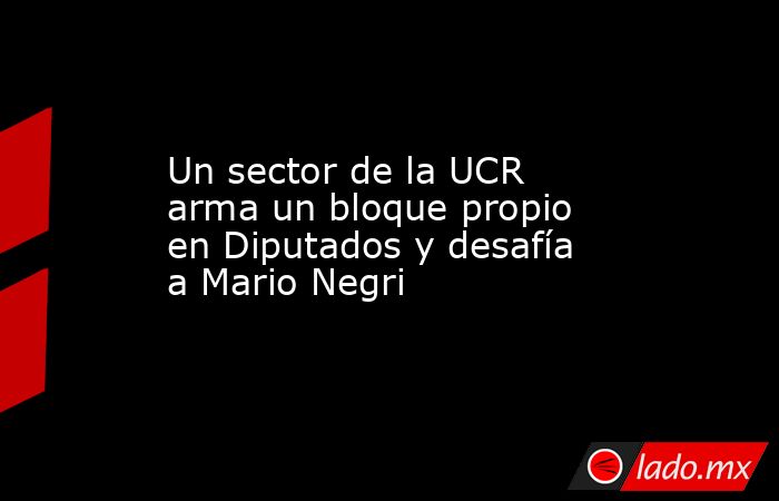 Un sector de la UCR arma un bloque propio en Diputados y desafía a Mario Negri. Noticias en tiempo real