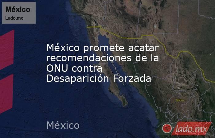 México promete acatar recomendaciones de la ONU contra Desaparición Forzada. Noticias en tiempo real