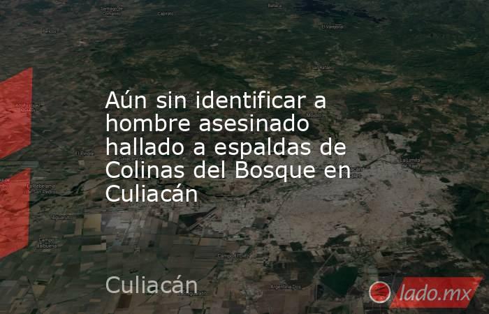 Aún sin identificar a hombre asesinado hallado a espaldas de Colinas del Bosque en Culiacán. Noticias en tiempo real
