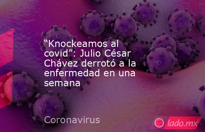 “Knockeamos al covid”: Julio César Chávez derrotó a la enfermedad en una semana. Noticias en tiempo real