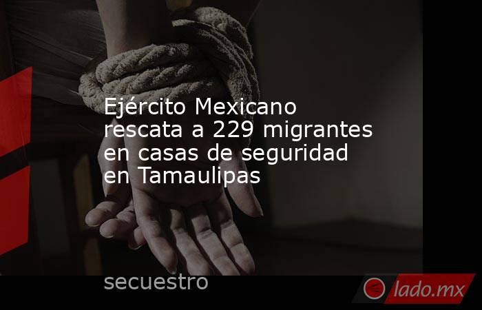 Ejército Mexicano rescata a 229 migrantes en casas de seguridad en Tamaulipas. Noticias en tiempo real