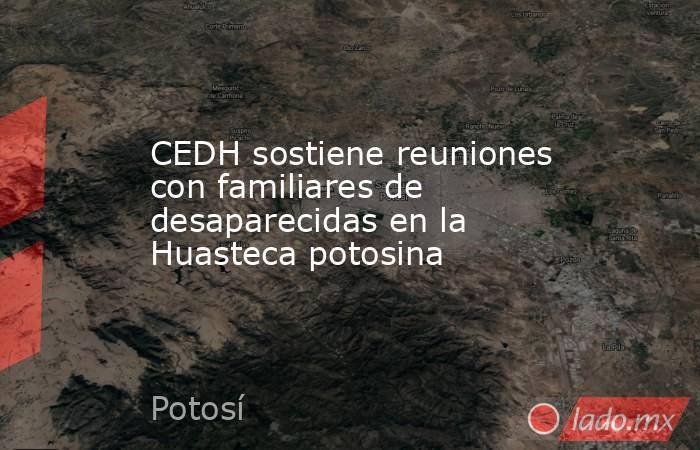 CEDH sostiene reuniones con familiares de desaparecidas en la Huasteca potosina. Noticias en tiempo real