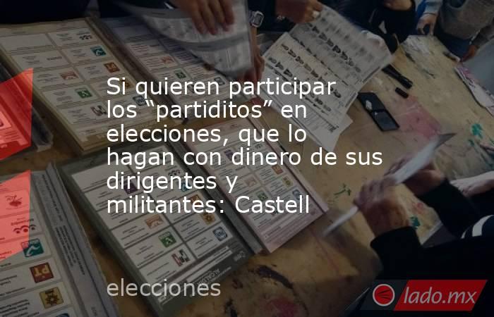 Si quieren participar los “partiditos” en elecciones, que lo hagan con dinero de sus dirigentes y militantes: Castell. Noticias en tiempo real