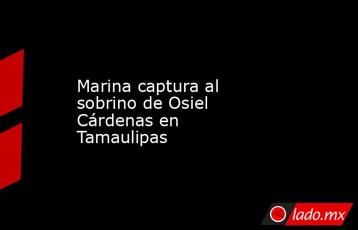 Marina captura al sobrino de Osiel Cárdenas en Tamaulipas
. Noticias en tiempo real