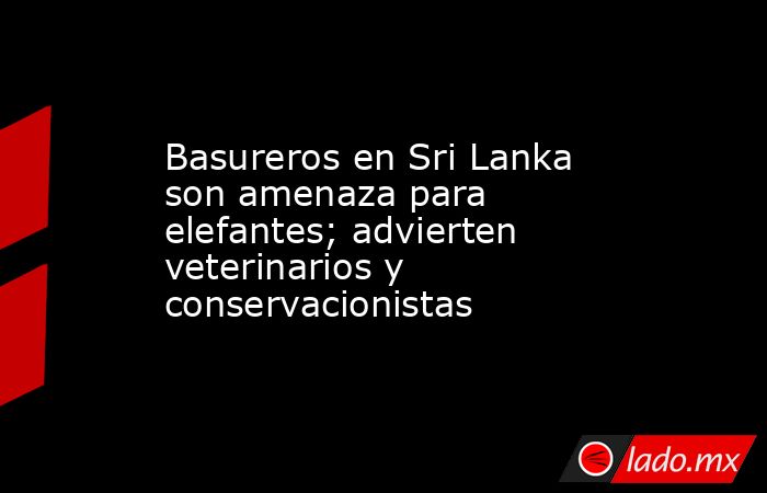 Basureros en Sri Lanka son amenaza para elefantes; advierten veterinarios y conservacionistas. Noticias en tiempo real