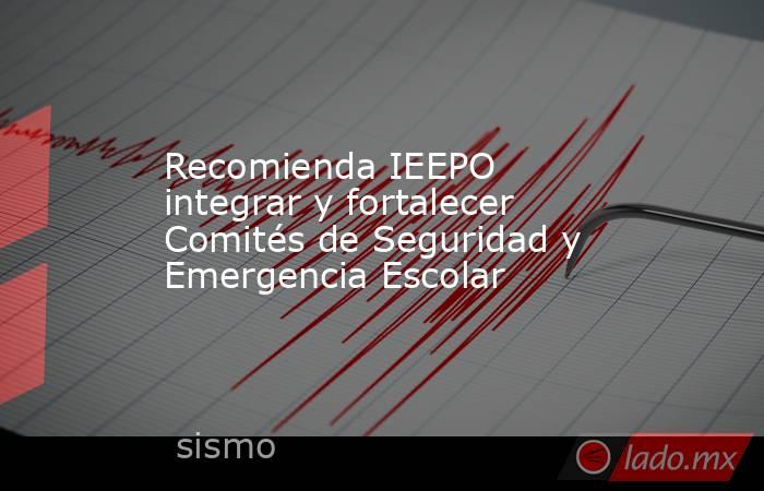 Recomienda IEEPO integrar y fortalecer Comités de Seguridad y Emergencia Escolar. Noticias en tiempo real