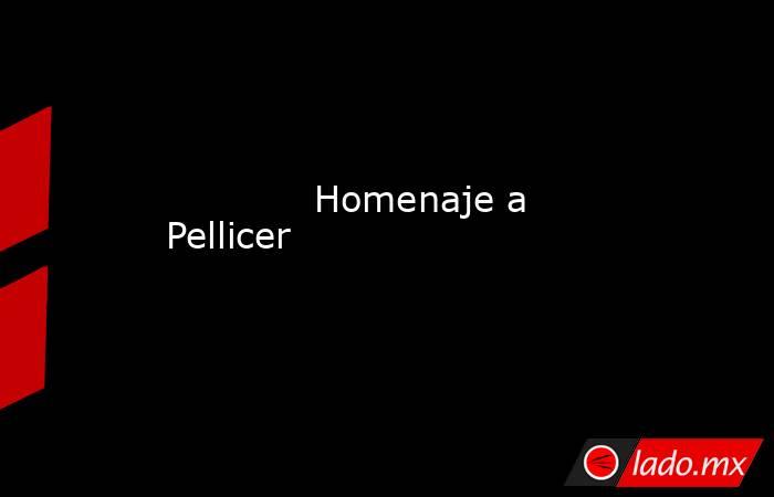             Homenaje a Pellicer            . Noticias en tiempo real