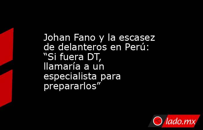 Johan Fano y la escasez de delanteros en Perú: “Si fuera DT, llamaría a un especialista para prepararlos”. Noticias en tiempo real