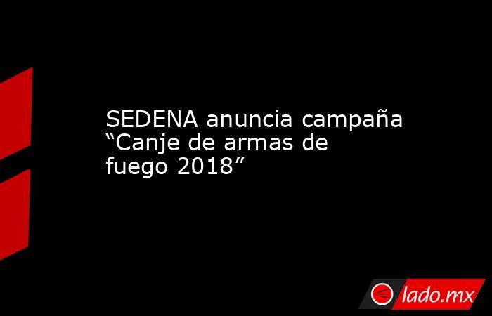 SEDENA anuncia campaña “Canje de armas de fuego 2018”. Noticias en tiempo real