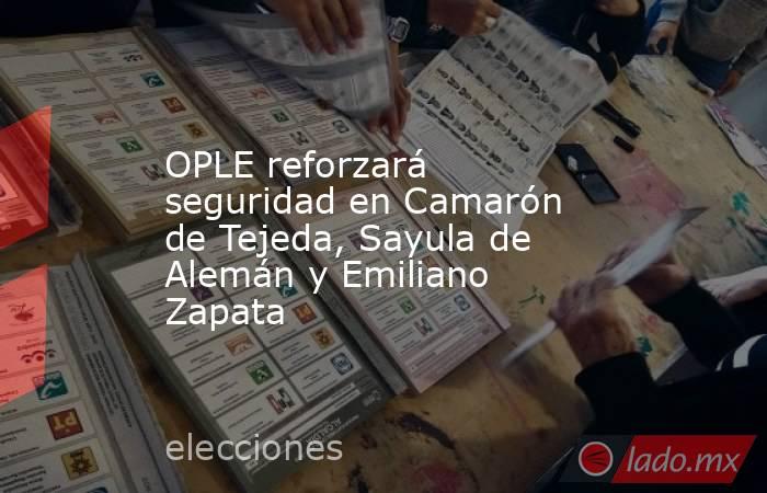 OPLE reforzará seguridad en Camarón de Tejeda, Sayula de Alemán y Emiliano Zapata. Noticias en tiempo real