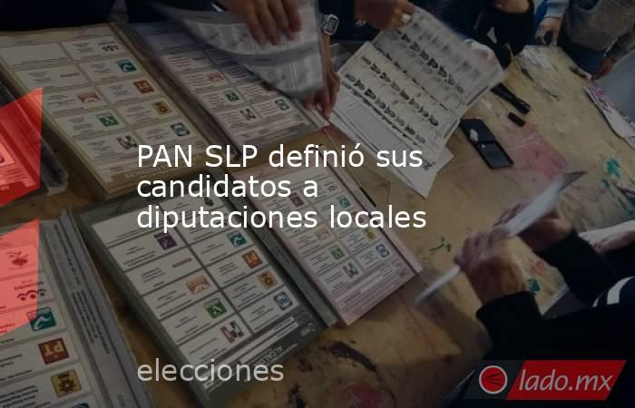 PAN SLP definió sus candidatos a diputaciones locales. Noticias en tiempo real
