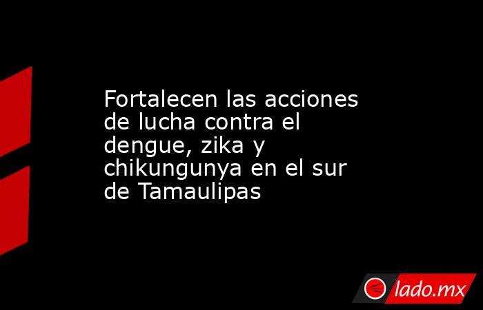 Fortalecen las acciones de lucha contra el dengue, zika y chikungunya en el sur de Tamaulipas. Noticias en tiempo real