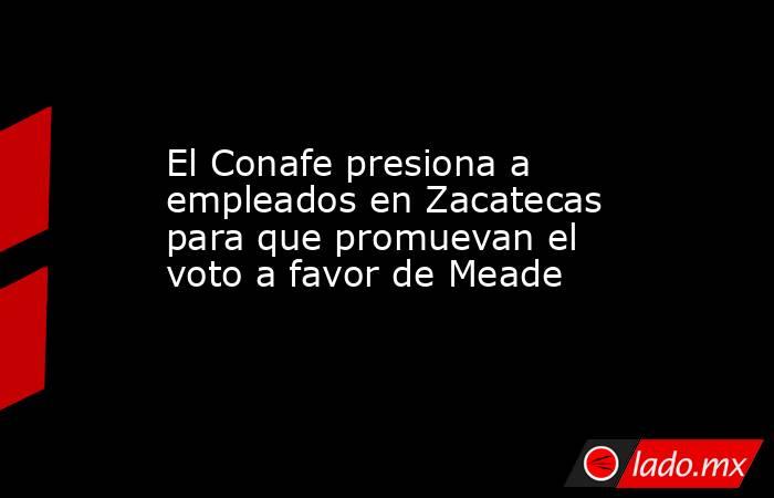 El Conafe presiona a empleados en Zacatecas para que promuevan el voto a favor de Meade. Noticias en tiempo real