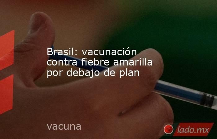 Brasil: vacunación contra fiebre amarilla por debajo de plan. Noticias en tiempo real