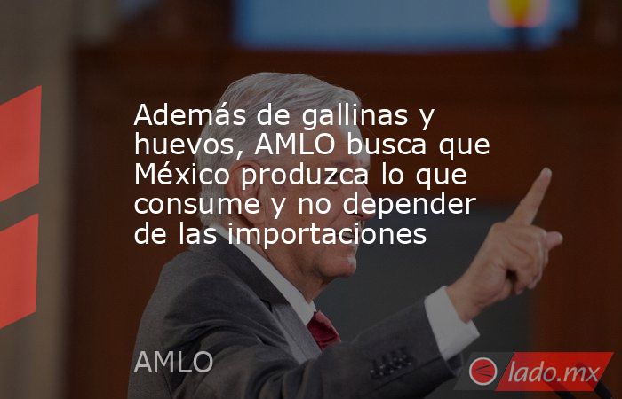 Además de gallinas y huevos, AMLO busca que México produzca lo que consume y no depender de las importaciones. Noticias en tiempo real
