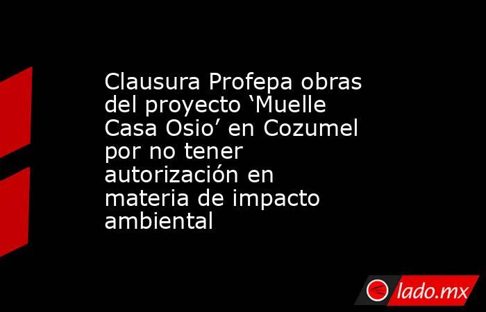 Clausura Profepa obras del proyecto ‘Muelle Casa Osio’ en Cozumel por no tener autorización en materia de impacto ambiental. Noticias en tiempo real