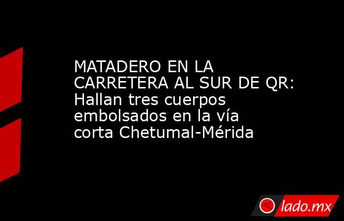 MATADERO EN LA CARRETERA AL SUR DE QR: Hallan tres cuerpos embolsados en la vía corta Chetumal-Mérida. Noticias en tiempo real
